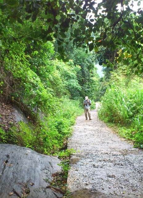 Hiking Uthuwankanda & Bible Rock